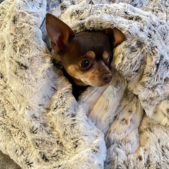 Meet your Posher, Ann-marie - Picture 6 of 7